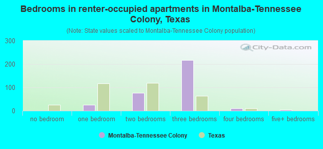 Bedrooms in renter-occupied apartments in Montalba-Tennessee Colony, Texas