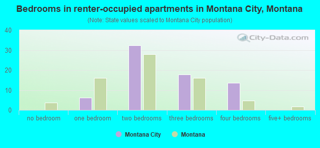 Bedrooms in renter-occupied apartments in Montana City, Montana