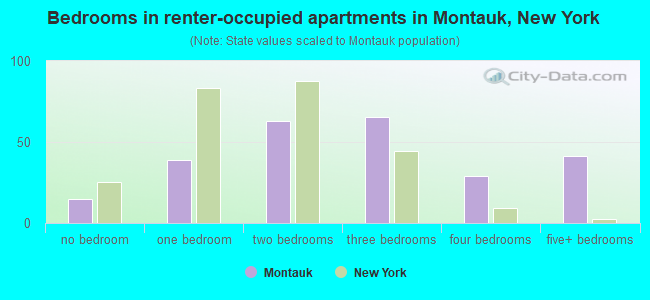 Bedrooms in renter-occupied apartments in Montauk, New York