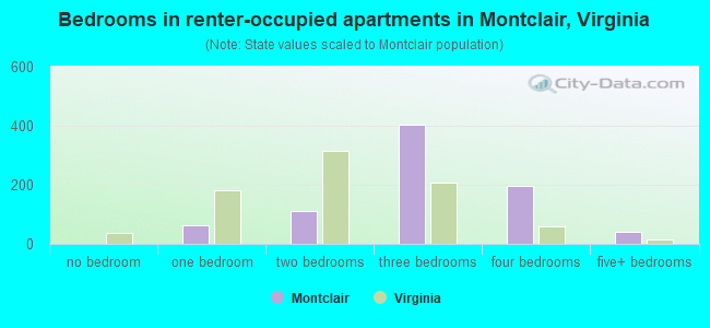 Bedrooms in renter-occupied apartments in Montclair, Virginia