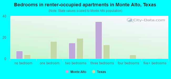 Bedrooms in renter-occupied apartments in Monte Alto, Texas
