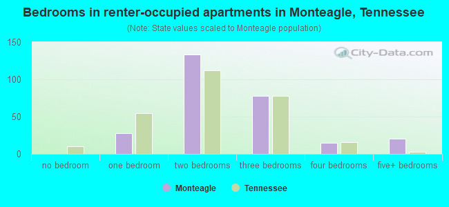 Bedrooms in renter-occupied apartments in Monteagle, Tennessee