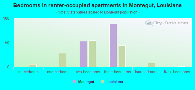Bedrooms in renter-occupied apartments in Montegut, Louisiana