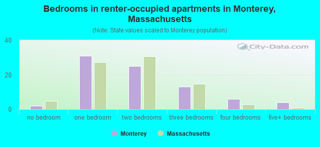 Bedrooms in renter-occupied apartments in Monterey, Massachusetts