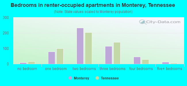 Bedrooms in renter-occupied apartments in Monterey, Tennessee