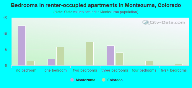 Bedrooms in renter-occupied apartments in Montezuma, Colorado