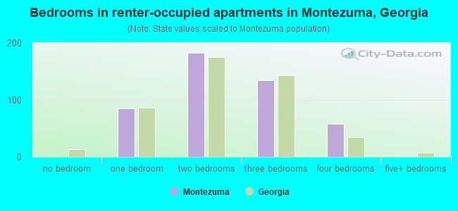 Bedrooms in renter-occupied apartments in Montezuma, Georgia