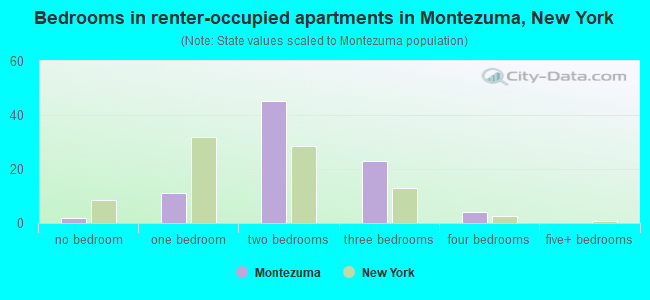 Bedrooms in renter-occupied apartments in Montezuma, New York