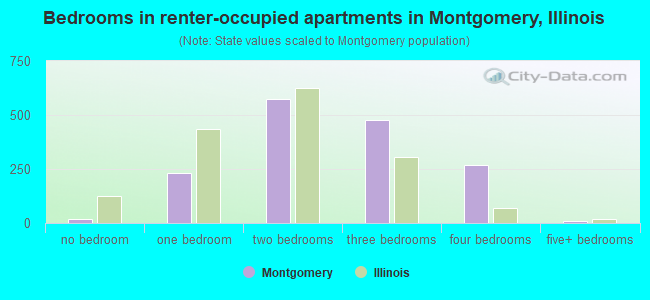 Bedrooms in renter-occupied apartments in Montgomery, Illinois