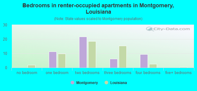 Bedrooms in renter-occupied apartments in Montgomery, Louisiana