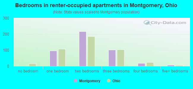 Bedrooms in renter-occupied apartments in Montgomery, Ohio