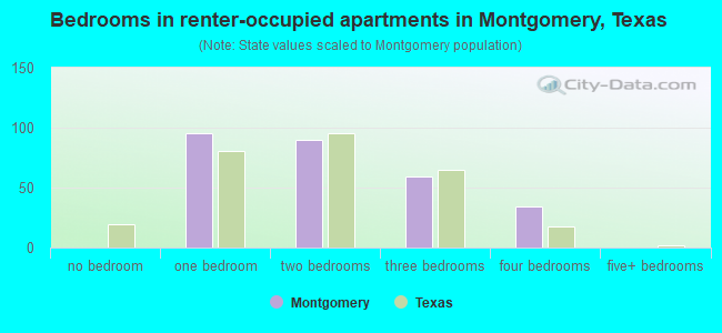 Bedrooms in renter-occupied apartments in Montgomery, Texas