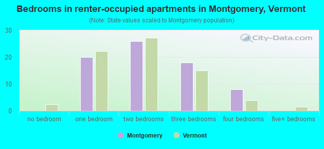 Bedrooms in renter-occupied apartments in Montgomery, Vermont
