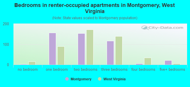 Bedrooms in renter-occupied apartments in Montgomery, West Virginia