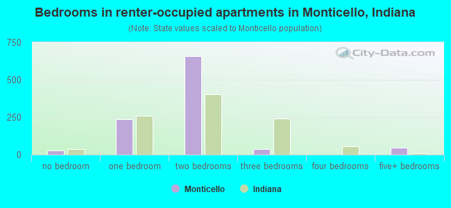 Bedrooms in renter-occupied apartments in Monticello, Indiana