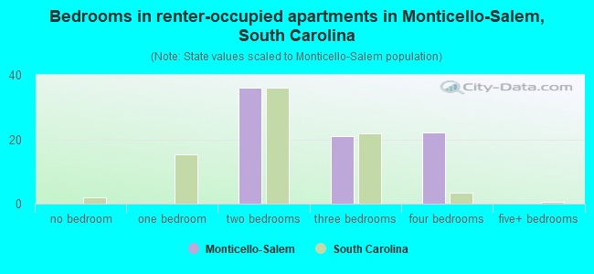 Bedrooms in renter-occupied apartments in Monticello-Salem, South Carolina