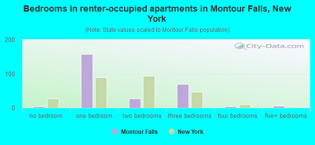 Bedrooms in renter-occupied apartments in Montour Falls, New York