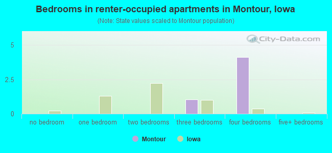 Bedrooms in renter-occupied apartments in Montour, Iowa