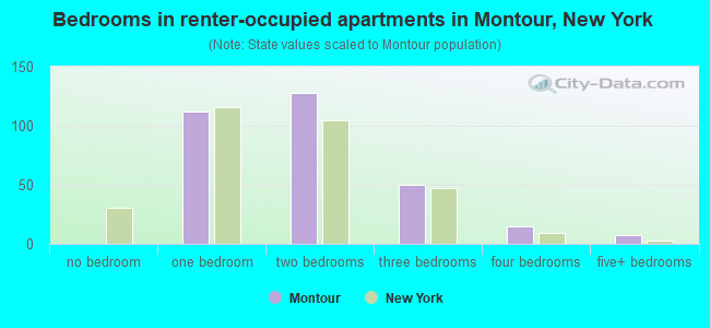 Bedrooms in renter-occupied apartments in Montour, New York
