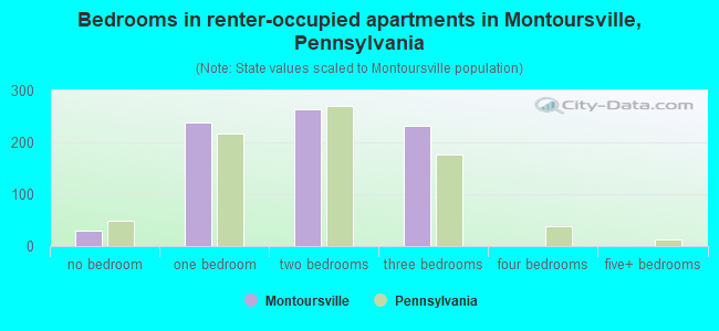 Bedrooms in renter-occupied apartments in Montoursville, Pennsylvania