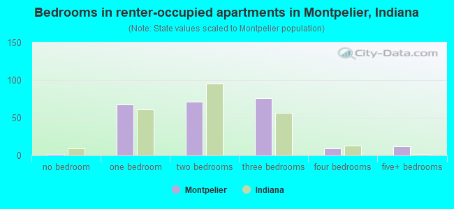 Bedrooms in renter-occupied apartments in Montpelier, Indiana