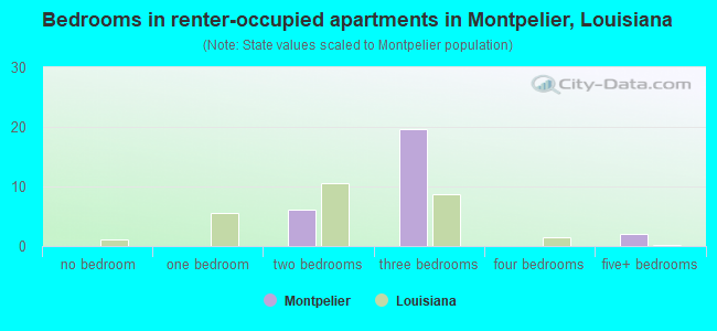 Bedrooms in renter-occupied apartments in Montpelier, Louisiana