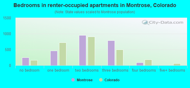 Bedrooms in renter-occupied apartments in Montrose, Colorado