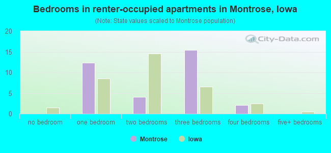 Bedrooms in renter-occupied apartments in Montrose, Iowa