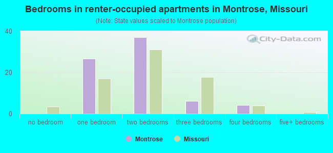 Bedrooms in renter-occupied apartments in Montrose, Missouri