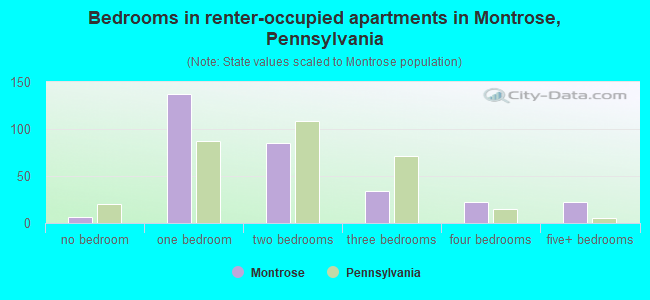 Bedrooms in renter-occupied apartments in Montrose, Pennsylvania