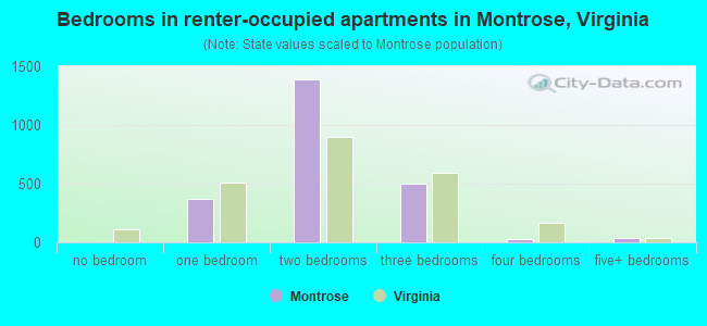 Bedrooms in renter-occupied apartments in Montrose, Virginia