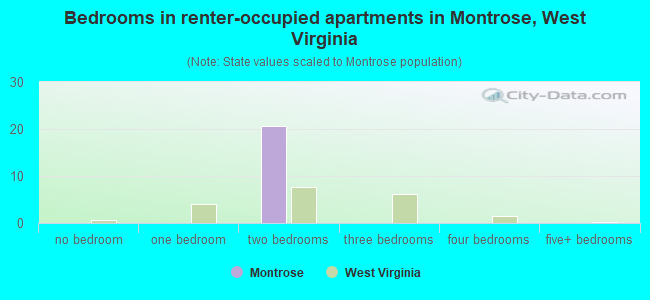 Bedrooms in renter-occupied apartments in Montrose, West Virginia