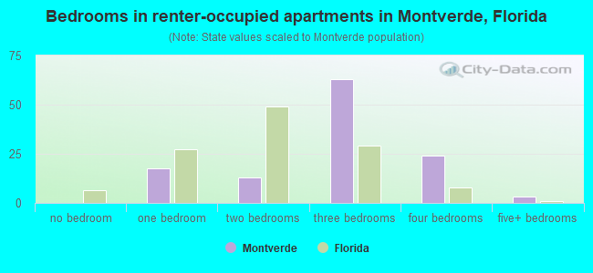 Bedrooms in renter-occupied apartments in Montverde, Florida