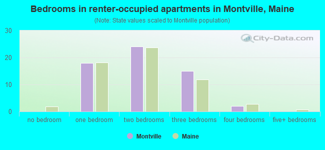Bedrooms in renter-occupied apartments in Montville, Maine