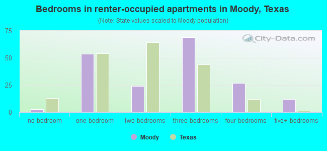 Bedrooms in renter-occupied apartments in Moody, Texas