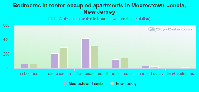 Bedrooms in renter-occupied apartments in Moorestown-Lenola, New Jersey