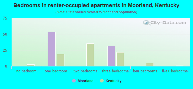 Bedrooms in renter-occupied apartments in Moorland, Kentucky