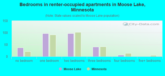 Bedrooms in renter-occupied apartments in Moose Lake, Minnesota