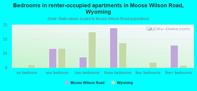 Bedrooms in renter-occupied apartments in Moose Wilson Road, Wyoming
