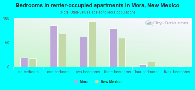 Bedrooms in renter-occupied apartments in Mora, New Mexico