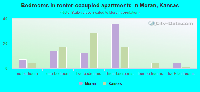 Bedrooms in renter-occupied apartments in Moran, Kansas