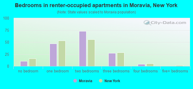 Bedrooms in renter-occupied apartments in Moravia, New York