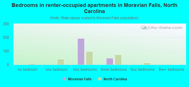 Bedrooms in renter-occupied apartments in Moravian Falls, North Carolina