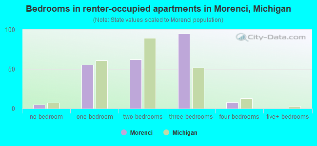 Bedrooms in renter-occupied apartments in Morenci, Michigan