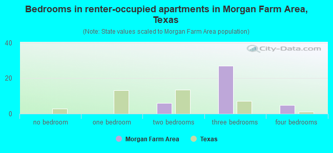 Bedrooms in renter-occupied apartments in Morgan Farm Area, Texas