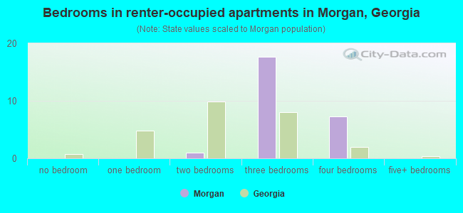 Bedrooms in renter-occupied apartments in Morgan, Georgia