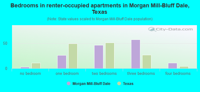 Bedrooms in renter-occupied apartments in Morgan Mill-Bluff Dale, Texas