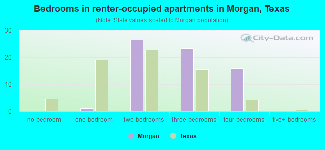 Bedrooms in renter-occupied apartments in Morgan, Texas