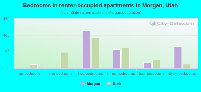 Bedrooms in renter-occupied apartments in Morgan, Utah