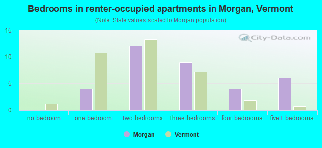 Bedrooms in renter-occupied apartments in Morgan, Vermont